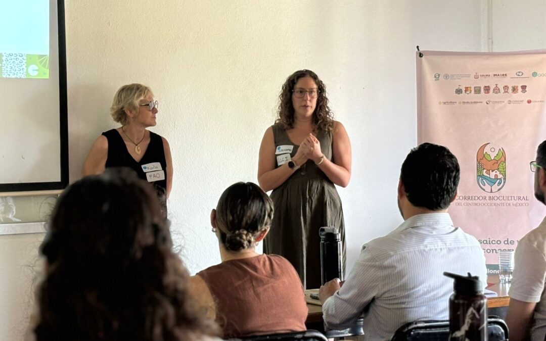 FORTALECE GOBIERNO DEL ESTADO GOBERNANZA AMBIENTAL REGIONAL CON ENCUENTRO TÉCNICO DEL PROYECTO GEF-COBIOCOM