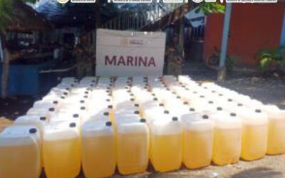 MARINA Y POLICÍA ESTATAL ASEGURAN PRESUNTA DROGA Y COMBUSTIBLE DURANTE CATEOS EN CHIAPAS