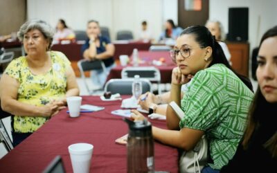 ICM Y COLECTIVOS FEMINISTAS DAN SEGUIMIENTO A LA DECLARATORIA DE ALERTA VIOLETA DE GÉNERO CONTRA LAS MUJERES