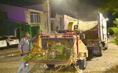 CONTINÚAN TRABAJOS DE PODA E ILUMINACIÓN EN LA JARDINES VISTA HERMOSA