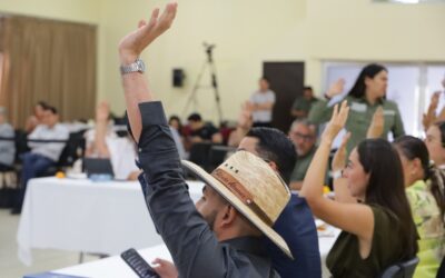 APRUEBA CONGRESO REFORMA CONSTITUCIOINAL FEDERAL SOBRE NULIDAD DE ELECCIONES POR INTERVENCIÓN EXTRANJERA