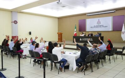 AUTORIZA CONGRESO ESTÍMULOS FISCALES EN ARMERÍA PARA PREDIAL, LICENCIAS COMERCIALES E INFRACCIONES VIALES