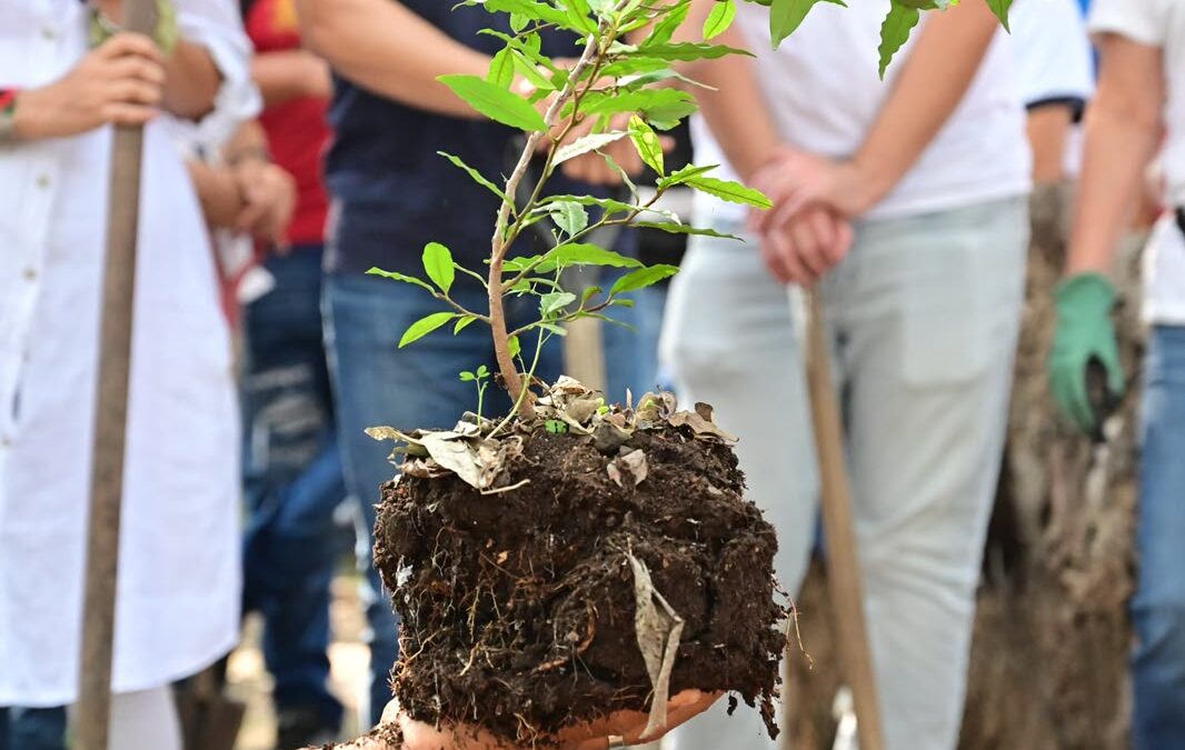 ARRANCA MUNICIPIO CAPITALINO CAMPAÑA ANUAL ‘REFORESTANDO POR TI’