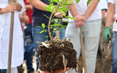 ARRANCA MUNICIPIO CAPITALINO CAMPAÑA ANUAL ‘REFORESTANDO POR TI’