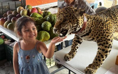 PROMUEVE UDEC CONOCIMIENTO Y CONSERVACIÓN EN EL FESTIVAL TECUANILLO AMBIENTAL