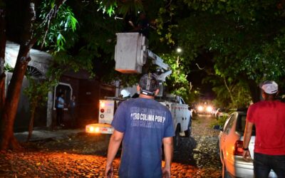 REALIZAN PODA DE ARBOLES Y RECOLECCIÓN DE RAMAS EN JARDINES DE LA ESTANCIA
