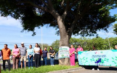 INICIA VDEA E IMADES MANTENIMIENTO DE PAROTAS PARA SANEARLAS DE PLAGAS