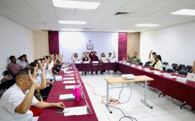 IMPULSA SALUD COLIMA LA PARTERÍA PROFESIONAL Y TRADICIONAL EN EL ESTADO