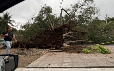 ATIENDE UEPC 20 REPORTES DE AFECTACIONES POR LLUVIA Y VIENTO ESTE MIÉRCOLES EN VARIOS MUNICIPIOS