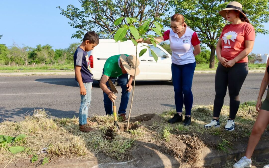 INVITA TEY A SUMARSE A LAS CAMPAÑAS DE REFORESTACIÓN