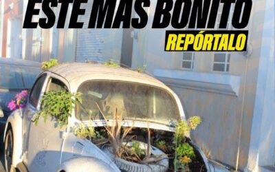 EXHORTA COMUNA CAPITALINA A REPORTAR VEHÍCULOS ABANDONADOS EN LA VÍA PÚBLICA
