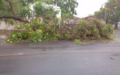 ATIENDEN AFECTACIONES EN LA CAPITAL POR LA LLUVIA EN VIALIDADES DEL CENTRO Y SUR