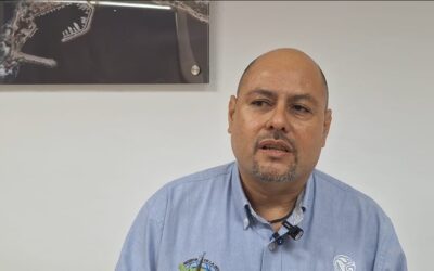 DETECTAN EXTRACCIÓN DE HONGOS SILVESTRES EN LA SIERRA DE MANANTLAN; PODRÍA DERIVAR EN SANCIONES