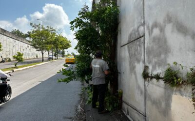 AYUNTAMIENTO CAPITALINO ASUME RESPONSABILIDAD PREVENTIVA CON MEJORAR CONDICIONES URBANAS PARA REDUCIR ACCIDENTES VIALES 