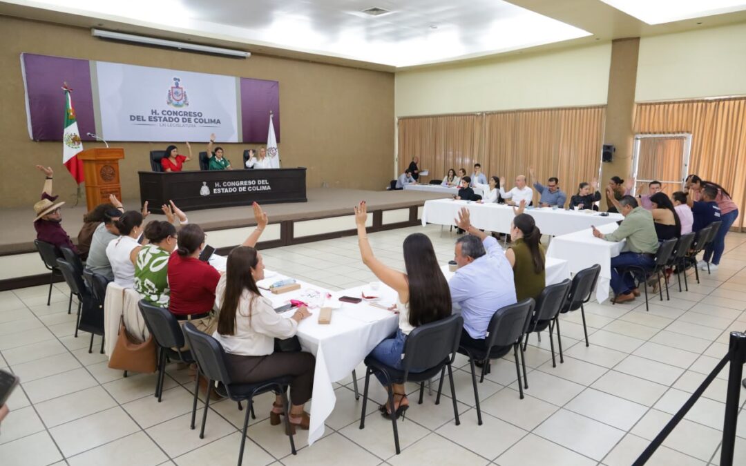 APRUEBA CONGRESO DE COLIMA DESCUENTOS DEL 40% POR EL DERECHO A LA PRESTACIÓN DEL SERVICIO A CHOFERES DE PLATAFORMAS DIGITALES