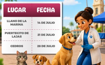 IMPULSA AYUNTAMIENTO DE MANZANILLO ESTERILIZACIONES GRATUITAS A DOMICILIO