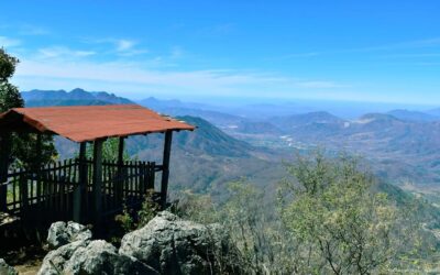REALIZARÁN LAS FERIAS DEL HONGO 2026 EN LA SIERRA DE MANANTLÁN