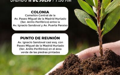 PROGRAMA ‘REFORESTANDO POR TI’ PROYECTA META DE PLANTAR 5 MIL ÁRBOLES EN COLIMA CAPITAL
