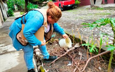COLIMA, CDMX, TLAXCALA Y ZACATECAS, ÚNICAS ENTIDADES SIN CASOS DE DENGUE