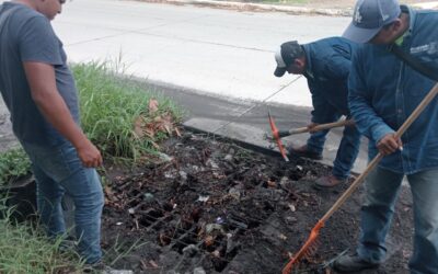 INTENSIFICAN CUADRILLA DE MANTENIMIENTO MUNICIPAL  EL DESAZOLVE DE ALCANTARILLAS