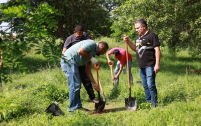 MÁS DE MIL ÁRBOLES HAN SIDO PLANTEADOS DURANTE LA CAMPAÑA MUNICIPAL DE COLIMA «REFORESTANDO POR TI «