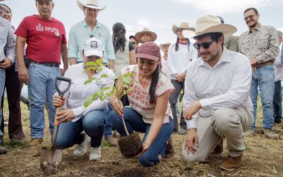 ENCABEZA INDIRA VIZCAÍNO JORNADA NACIONAL DE REFORESTACIÓN EN CUAUHTÉMOC
