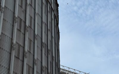REPORTA ASIPONA UN AUMENTO DEL 24% DEL MOVIMIENTO GRANEL AGRÍCOLA EN PRIMER SEMESTRE 2026