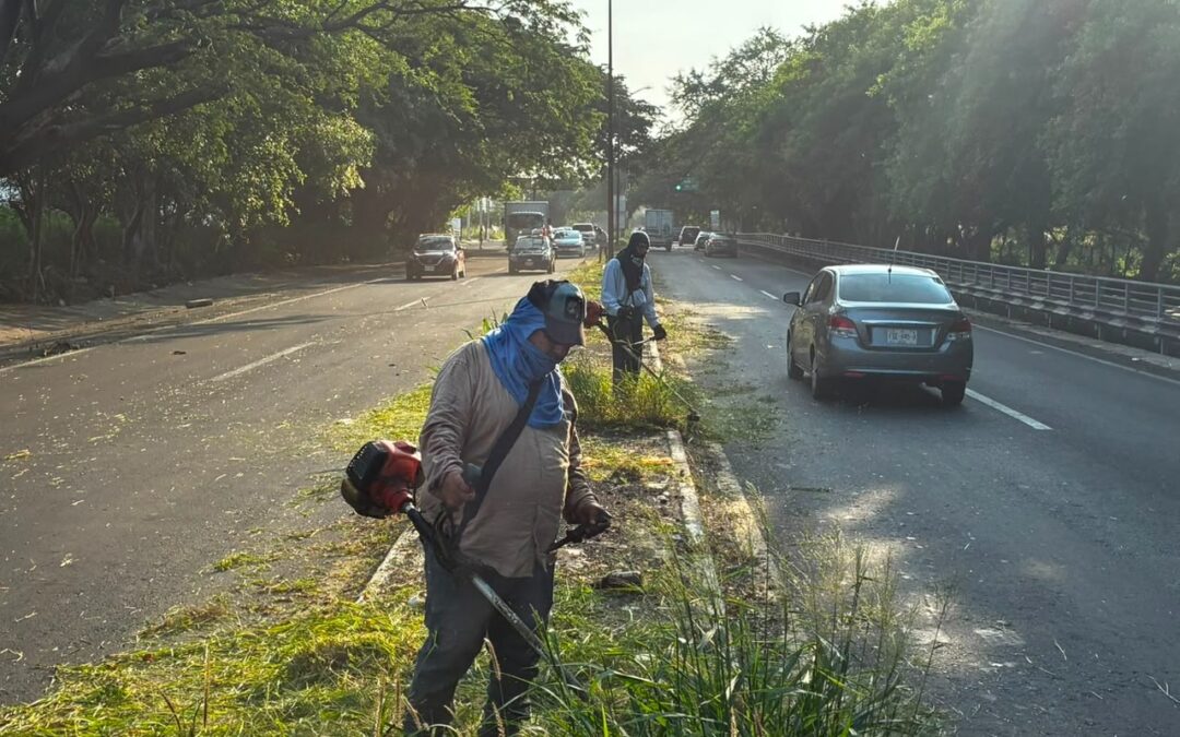 INTENSIFICA AYUNTAMIENTO DE COLIMA MANTENIMIENTO DEL ANDADOR COLIMA-LO DE VILLA 