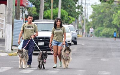 PARTICIPAN CAPITALINOS DURANTE DONMINGO EN VÍA RECREATIVA EN AV. SAN FERNANDO