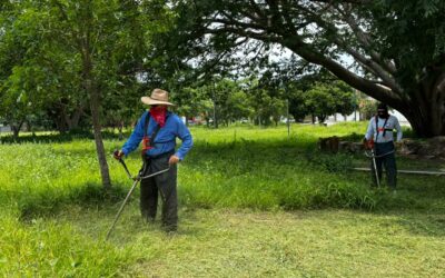 COLIMA REFUERZA EL MANTENIMIENTO DE CAMELLONES Y JARDINES PARA MEJORAR LA MOVILIDAD Y SEGURIDAD