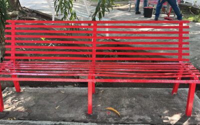 TRAS CONSULTA CIUDADANA, AYUNTAMIENTO DE COLIMA RENUEVA CON COLOR LAS BANCAS DE SUS JARDINES