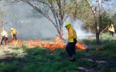 BRIGADISTAS COLIMENSES COMBATIRÁN INCENDIOS FORESTALES EN CANADÁ, INFORMA SUBSEDER