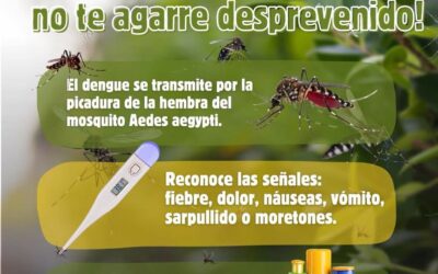 REFUERZA IMSS COLIMA PREVENCIÓN ANTE RIESGO DE DENGUE POR TEMPORADAS DE LLUVIAS