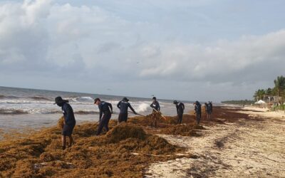 MARINA FORTALECE SU ESTRATEGIA CONTRA EL SARGAZO: CONTENCIÓN EN EL MAR Y VENTANAS DE PLAYA PARA PROTEGER EL CARIBE MEXICANO