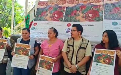 ANUNCIAN XV FESTIVAL EN DEFENSA DEL MAÍZ NATIVO Y SU CULTURA