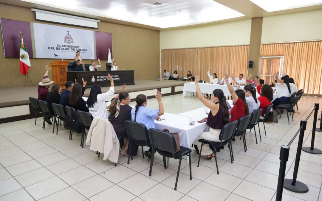 EXPIDE LXI LEGISLATURA DE LEY DE SALUD MENTAL Y ADICIONES PARA EL ESTADO DE COLIMA