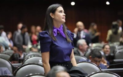 FORMÓ ROSI BAYARDO PARTE DE LA LEGISLATURA QUE CONVIRTIÓ EN DERECHOS CONSTITUCIONALES LAS BASES DE LA 4T