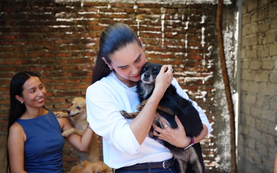 ROSI BAYARDO FORTALECE LA AGENDA DEL BIENESTAR ANIMAL CON ACCIONES ESPECÍFICAS