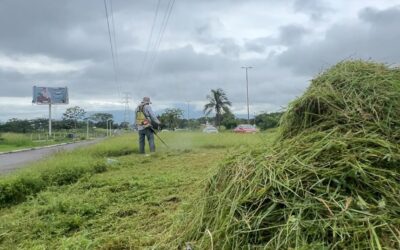 AYUNTAMIENTO DE COLIMA REALIZA BRIGADA DE LIMPIEZA Y PODA EN LOS CAMELLONES CENTRALES DE CAMINO REAL Y TERCER ANILLO PERIFÉRICO