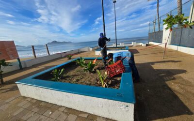 LA PREVENCIÓN HIZO LA DIFERENCIA EN MANZANILLO ANTE HURACÁN ‘SIMÓN’