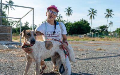 ROSI BAYARDO SUMA ESFUERZOS POR EL BIENESTAR ANIMAL, 58 PERRITOS TENDRÁN  NUEVA VIDA EN ESTADOS UNIDOS