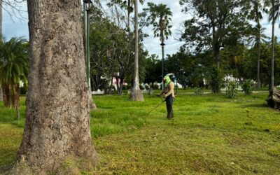 REALIZAN JORNADA DE PODA EN EL JARDÍN NÚÑEZ