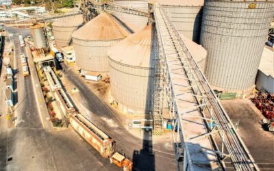 AUMENTA CADA AÑO MOVIMIENTO DE GRANEL AGRÍCOLA