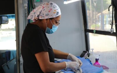 BRINDA AYUNTAMIENTO DE MANZANILLO ESTERILIZACIONES GRATUITAS A PERROS Y GATOS DE SAN PEDRITO