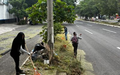 Ayuntamiento de Colima realiza jornada de ordenamiento de áreas verdes en la avenida Niños Héroes