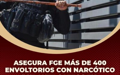 ASEGURA FGE MÁS DE 400 ENVOLTORIOS CON NARCÓTICO DURANTE CATEO EN CINCO MUNICIPIOS